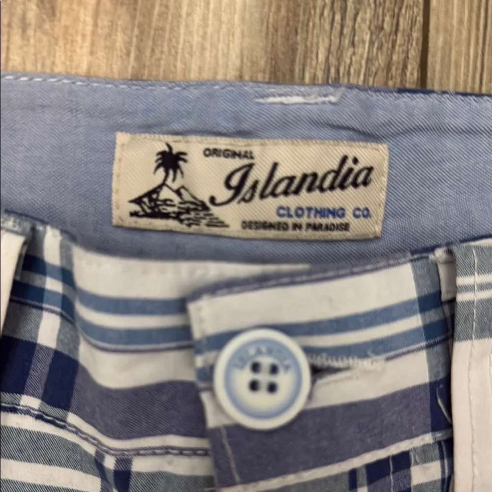Islandia Clothing Co. Classic Blue and White Plaid Flat Front Shorts Size 32 - Picture 2 of 7